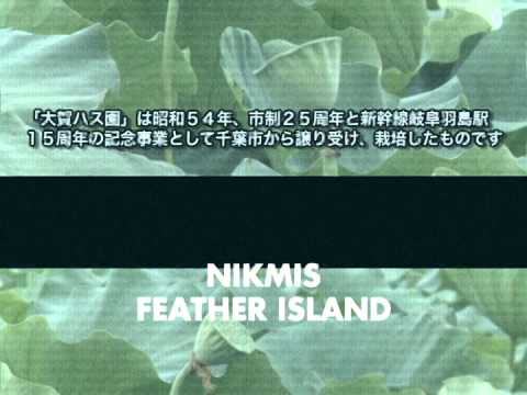 nikmis - feather island