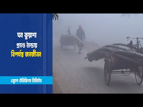 জেঁকে বসেছে শীত