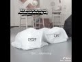 Suxinhao Susu Zhusu Zhuzhixin Otp 2xx Chuto Topdanglucthieunien Xhtiktok