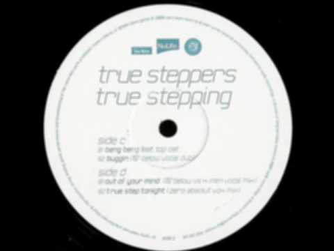 UK Garage - True Steppers Feat Topcat - Beng Beng
