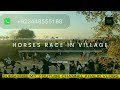Horse Racing In Village Horses Videos