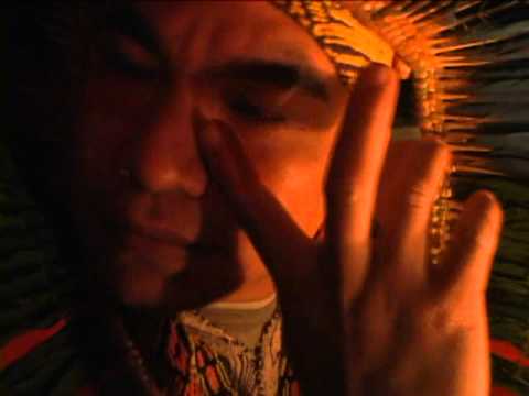 Ritual de Cura Kaxinawá com Ayahuasca na Floresta dos Unicórnios