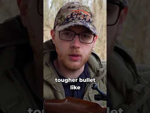 Hornady American Whitetail .308 150gr InterLock (Is It Accurate?)