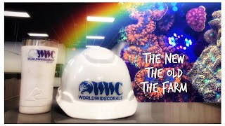 World Wide Coral Visit! The New Store, the Old Store and the Coral Farm!