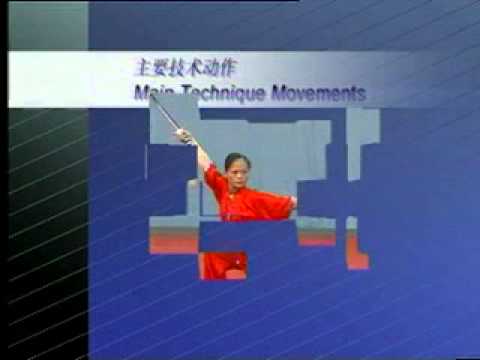 2006 CWA technique movements