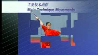 2006 CWA technique movements