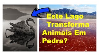 #7 | Fenômenos Estranhos Da Natureza - Lago Natron Na Tanzânia