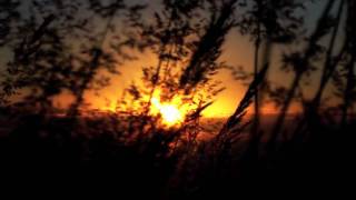 SACRED EARTH MUSIC "OM NAMAA SHIVIYA"