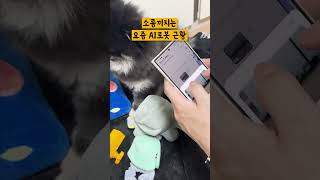 유튜브 썸네일