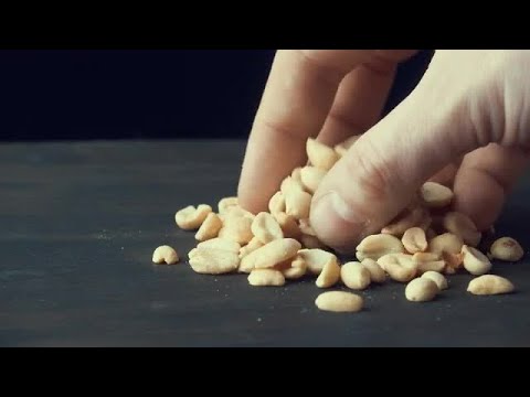 Picking Up Peanuts Stock Video