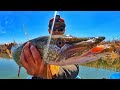 Video Thumbnail for River Kayak Fishing on Pelican Mission 100