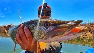 River Kayak Fishing on Pelican Mission 100