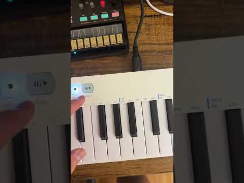 How do you use the Arturia Keystep in your workflow? #arturia #korg #analog #synth