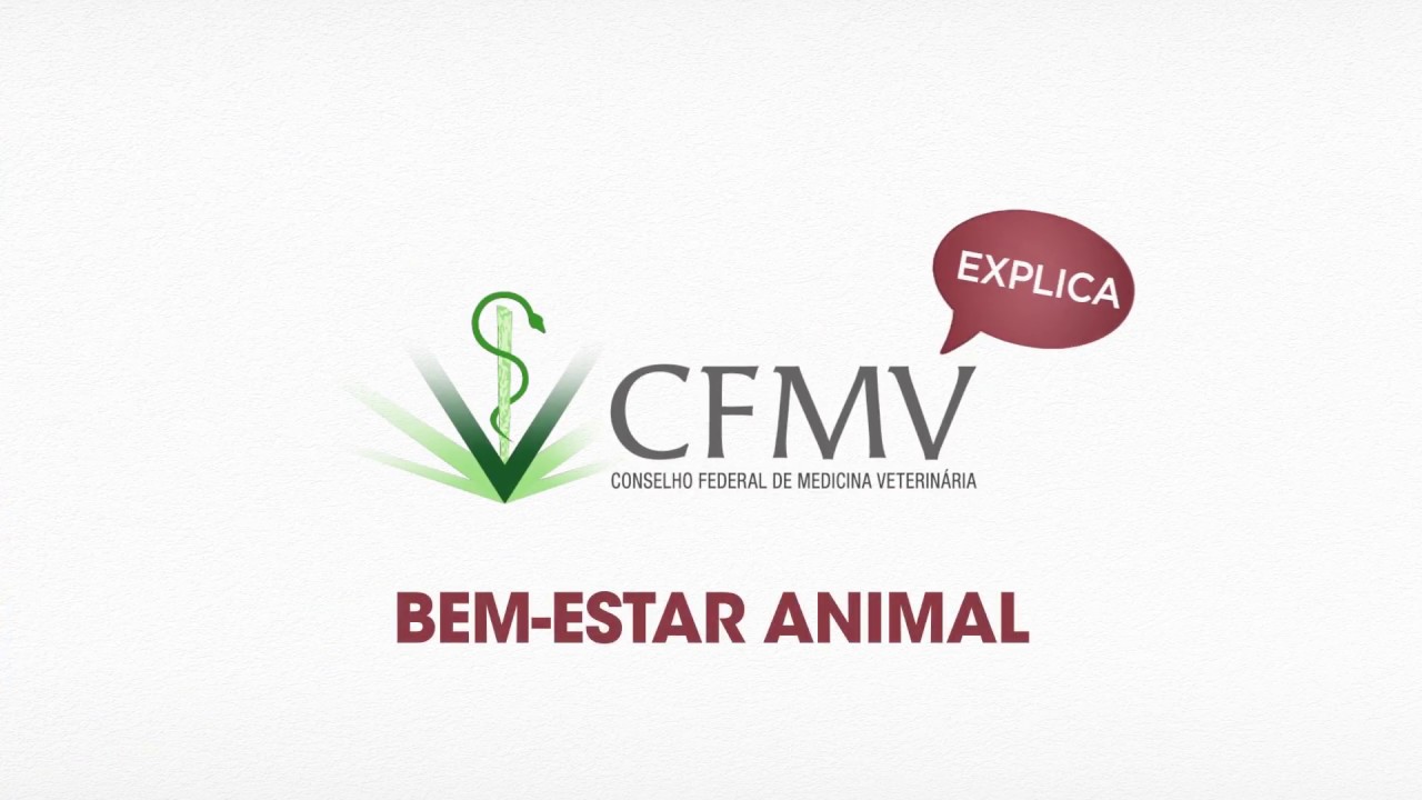 CFMV Explica - Bem estar animal