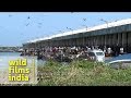 Neendakara Port - one of the top fishing harbors in Kerala