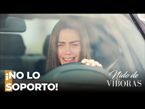 ¡Elvan Se Marcha De Casa! - Nido De Víboras