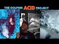 The Experiment That Broke A Dolphin S Heart