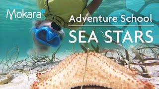 Starfish facts for Kids gameplay video by aliciawalsh@kecg.org, 6:25 duration