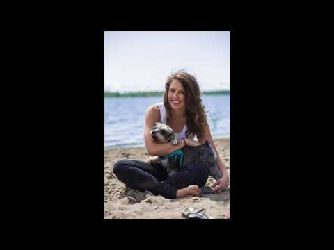 Kalinda's the Schnauzer's journey to health by switching from processed foods to fresh foods