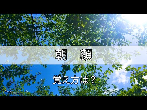 「朝顔」の日本手話の表し方