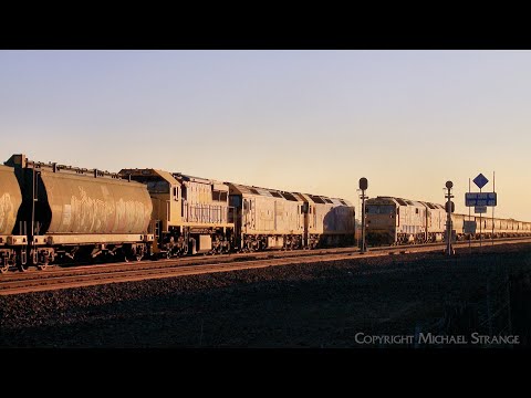 Pacific National Standard Gauge Australian Grain Trains Cross At Gheringhap Loop (7/5/2024)- PoathTV