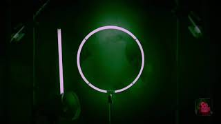 Lucas The Spider | Spinning Webs | Official Video Reaction