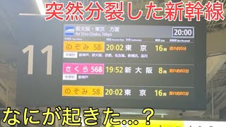普通はあり得ない2つに分裂してしまった新幹線の正体とは…現場でなにが起きた⁉︎