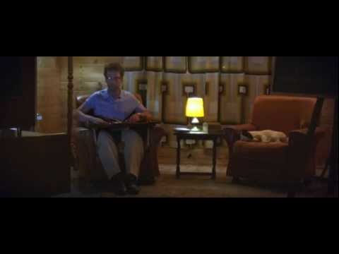 Splitter - Calexico