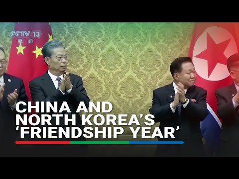 Beijing, Pyongyang kick off 'friendship year' to boost ties