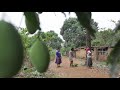 GIRLS FIGHT In My Village