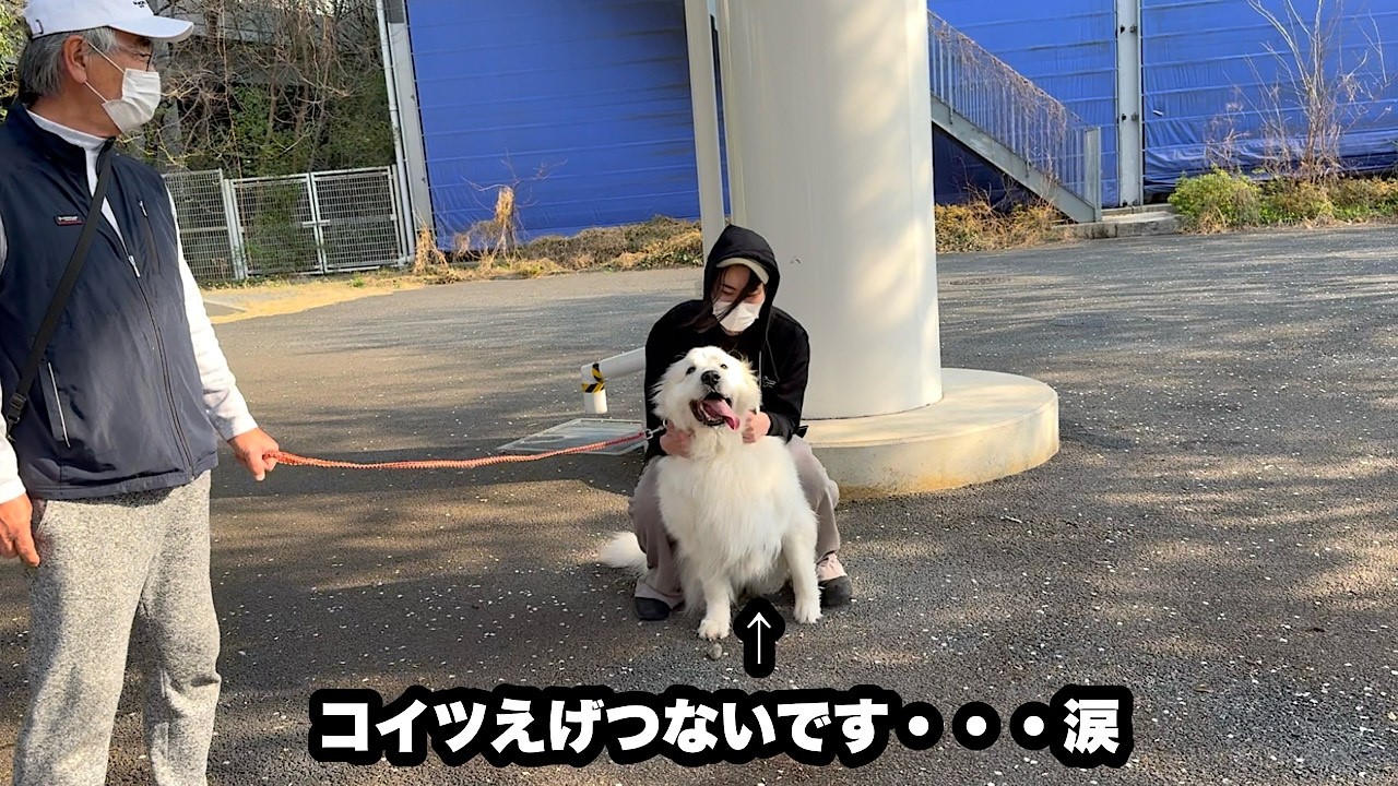 愛犬から無慈悲なる家族内順位を突きつけられる飼い主【三度目の正直編】