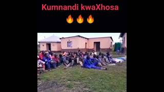 Download lagu isfonyo Sam sokuvika icorona(amagwijo ) mp3