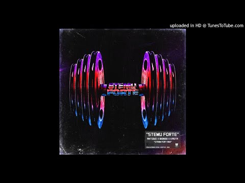 AntoGiò x Biondo x Kasta - Stemu Forte (Stamm Fort RMX)