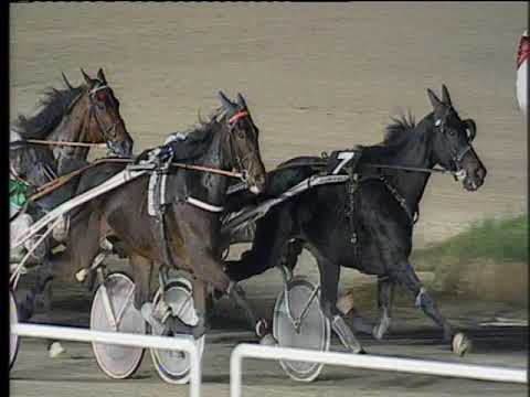 Trotto 10/11/2019 - 9ª corsa