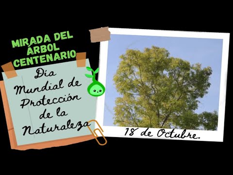 Día Mundial De Protección De La Naturaleza 18 De Octubre