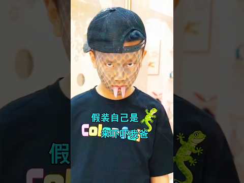 The Spider Joke 🕷️🤯mini wood toy- woodworking art skill/wood hand #shorts