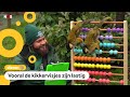 Even tellen Hoeveel dieren wonen er in deze dierentuin