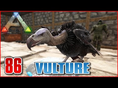 ARK Zoo #E86 - VULTURE & BROODMOTHER TAMING - Ark Survival Evolved [Deutsch/German]