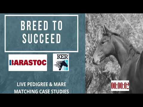Breed To Succeed 2021 Pedigree Research and Matching Case Studies