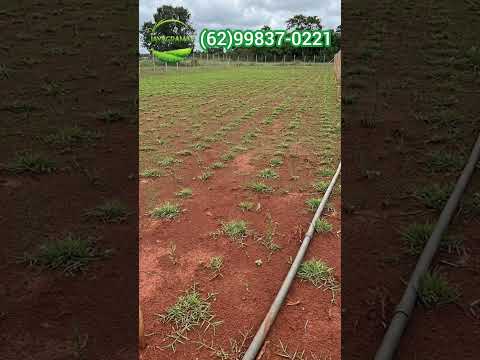 Jaya gramas goiânia