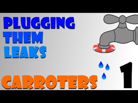 Carroters Busting Leaks: EP 1 - 25NL Session Review