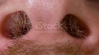 Hairy nostrils and nose of caucasian man close up in macro (3/6)