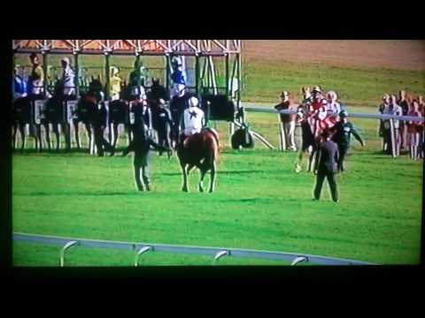 1989 Cheveley Park stakes