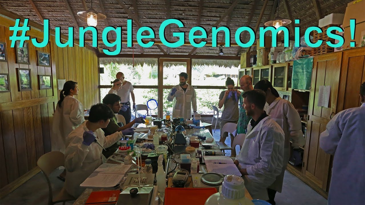 Genomics in the Jungle: First Molecular Lab in the Amazon Rainforest