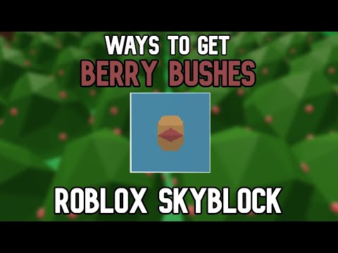 , title : 'Ways To Get Berry Bushes | Roblox Skyblock