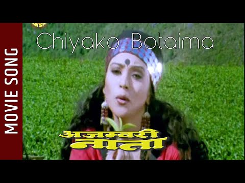 Chiya Ko Botaima - Ajambari Nata Nepali Movie Song || Niruta Singh