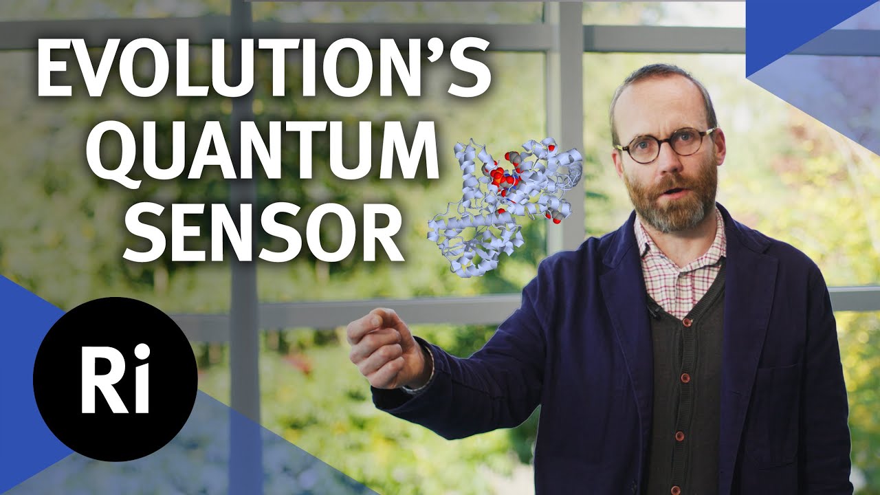 How animals can sense the earth's magnetic field - with NPL