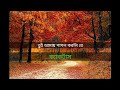 Bodhu Re | Tui Amay Pagol Korli Re |  Karaoke with lyrics | Pota | Cactus | Rajar Raja!