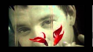 THE MOTORCYCLE BOY REIGNS