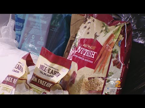 Online Petition Proposing Food Stamps For Pet Food Getting Attention